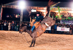 41ª Festa do Peão de Boiadeiro começa nesta quinta-feira em Dourados