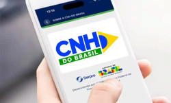 Câmara aprova MP que prevê renovação automática de CNH para motorista sem infração