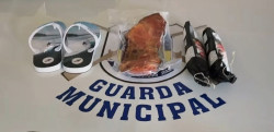 Guarda prende indivíduo que furtou loja e ameaçou funcionários em Dourados