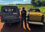 Quase 1 tonelada de maconha é apreendida em carro abandonado
