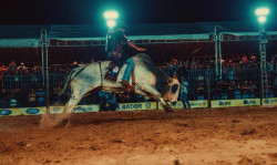 Finais do rodeio acontecem na noite deste domingo na 60ª Expoagro