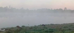 Segunda-feira gelada com nevoeiro e mínima de apenas 6ºC em Dourados