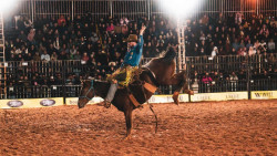 Peões de São Paulo e Naviraí são campeões do rodeio da 60ª Expoagro