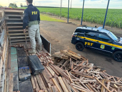 Grupo é preso com 1,1 tonelada de maconha escondida em carga de paletes