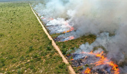 Prorrogada por mais 60 dias a proibição de queima controlada no pantanal
