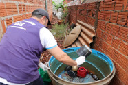 Boletim aponta 8.655 notificações de chikungunya e 3.948 confirmações