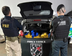 Polícias Rodoviária e Militar apreendem 219 quilos de maconha em Ivinhema
