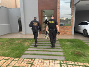 Operação da PF mira fraudes bancárias e lavagem de dinheiro em MS e SP