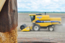MS amplia protagonismo no agro brasileiro em ano de recordes para o setor
