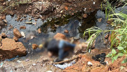 Homem é perseguido durante briga, cai de altura de 7 metros e morre em córrego