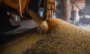 Economia brasileira cresce 1,1% no 1º trimestre