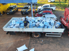 Caminhão levava 4,7 toneladas de maconha em meio a sementes de girassol