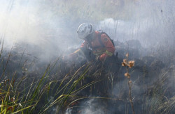 Decreto de emergência ambiental reforça enfrentamento a incêndios florestais