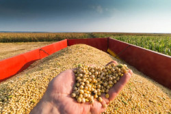 Exportações brasileiras do agronegócio representam 50,2% do total exportado pelo Brasil em maio