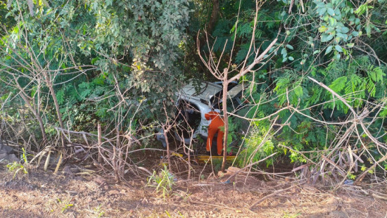 Motorista fica inconsciente após carro sair da pista, cair em buraco e bater em árvore