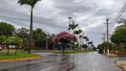 Terça-feira de sol entre nuvens e chuva passageira em Dourados; máxima de 26ºC