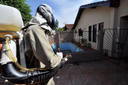 Prefeitura vistoria mais 1.387 imóveis e encontra 5 focos do Aedes aegypti