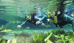 Turismo de Bonito registra melhor outubro dos últimos 7 anos