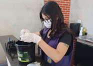 “Armadilhas” que eliminam o mosquito Aedes aegypti passam por manutenção em Dourados