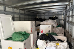 Vigilância realiza incineração de medicamentos irregulares em Dourados