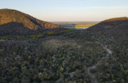 Para preservar o Pantanal, produtores rurais têm ações de conservação remuneradas por MS
