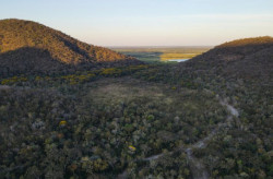 Para preservar o Pantanal, produtores rurais têm ações de conservação remuneradas por MS