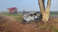 Veja o vídeo: Corolla bate em árvore, dois morrem e vereador sobrevive na MS-379