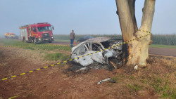 Veja o vídeo: Corolla bate em árvore, dois morrem e vereador sobrevive na MS-379