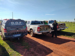 DOF apreende caminhonetes com quase 3,5 toneladas de maconha