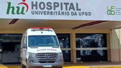 Epidemia de chikungunya recua 92% e número de internados atinge menor volume