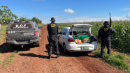 Polícia apreende R$ 2 milhões em maconha após denúncia de funcionário de fazenda