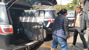Polícia prende ladrão com 25 passagens e desarticula boca de fumo que recebia objetos furtados