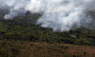 Emissão global de gases por incêndios é a menor em 24 anos