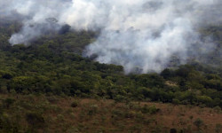 Emissão global de gases por incêndios é a menor em 24 anos