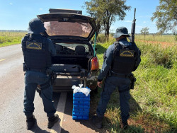 Adolescente é apreendido conduzindo carro com drogas; passageiro de 18 anos foi preso