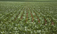Reunião com bancada do agro termina sem acordo sobre dívidas rurais