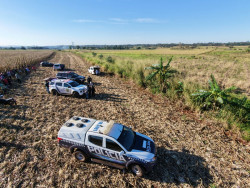 Corpo em decomposição é encontrado no meio de matagal em Dourados