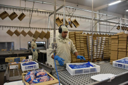Indústria de MS gera 8,8 mil vagas de emprego entre janeiro e maio