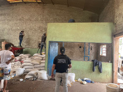 Polícia prende dono de depósito de sementes por tráfico de drogas