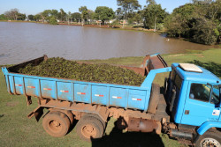 Concluída a limpeza do lago do Antenor Martins; prefeitura começa força-tarefa no Rego D’Água