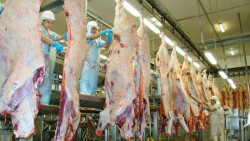 Tarifa dos EUA tem impacto menor que o esperado para o agro de Mato Grosso do Sul