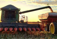 Contratação de crédito rural cai 22% ao final do Plano Safra 25/26 em MS