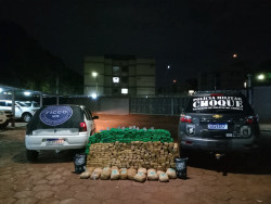 Ação integrada apreende quase 390 quilos de maconha na MS-040; homem é preso