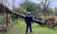 Defesa Civil reconhece situação de emergência em 17 municípios do RS