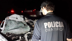 Acidente após atropelamento de anta deixa 2 mortos e carreta em chamas na BR-267
