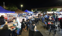 Feiras movimentam Parque dos Ipês com música, gastronomia e cultura em Dourados