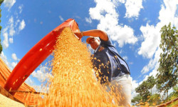 IBC-Br recuou 0,6% em junho, diz Banco Central