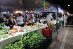 Feira dos Ipês é pet friendly e reúne música, sabores e expositores nesta terça