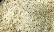 Terremoto: Brasil doará 10 toneladas de arroz à Colômbia