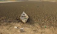 Brasil promete restaurar 163 mil km² de terras degradadas até 2030